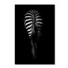 Trademark Fine Art Zebra Rear by Antonio Grambone, 16x24-Inch view 1