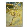 Canvas Wall Art - Van Gogh 'Small Pear Tree In Blossom' Wall Art for Living Room, Bedroom, or Office Dcor by Trademark Fine Art view 1