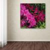 Trademark Fine Art Pink and Red Azalea Flowers Wall Dcor view 3