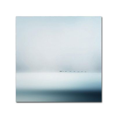 Trademark Fine Art Wild Geese by Piet Flour, 14x14-Inch