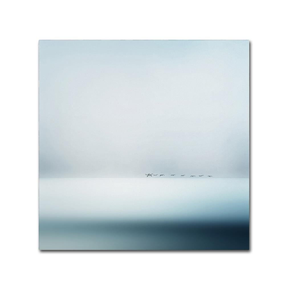 Trademark Fine Art Wild Geese by Piet Flour, 14x14-Inch