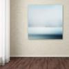 Trademark Fine Art Wild Geese by Piet Flour, 14x14-Inch view 3