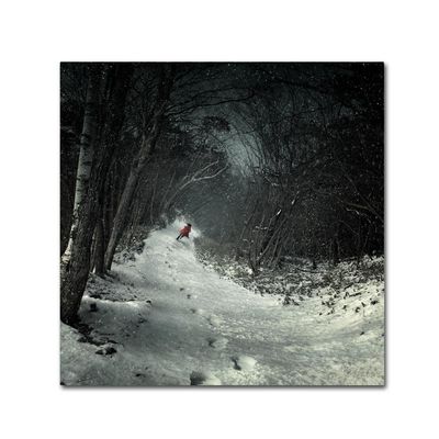 Trademark Fine Art into the Winter Forest Wall Dcor