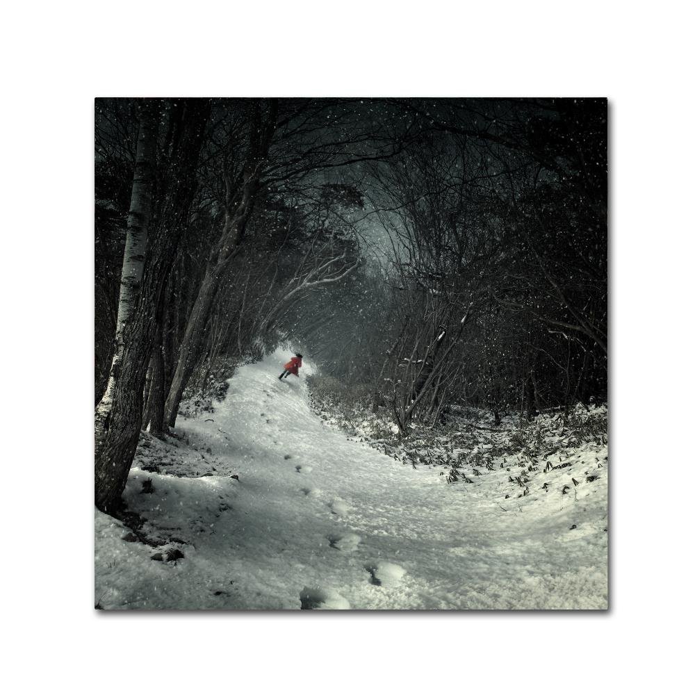 Trademark Fine Art into the Winter Forest Wall Dcor