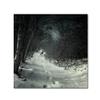 Trademark Fine Art into the Winter Forest Wall Dcor view 1
