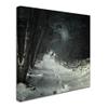Trademark Fine Art into the Winter Forest Wall Dcor view 2