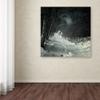 Trademark Fine Art into the Winter Forest Wall Dcor view 3