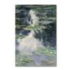 Trademark Fine Art Pond with Water Lilies Wall Dcor view 1