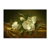 Trademark Fine Art Magnolias on Gold Velvet Cloth Wall Dcor view 1