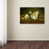 Trademark Fine Art Magnolias on Gold Velvet Cloth Wall Dcor view 2