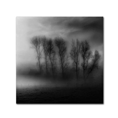 Trademark Fine Art 50 Shades of Fog Wall Dcor