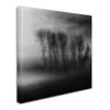 Trademark Fine Art 50 Shades of Fog Wall Dcor view 2