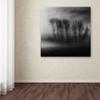 Trademark Fine Art 50 Shades of Fog Wall Dcor view 3