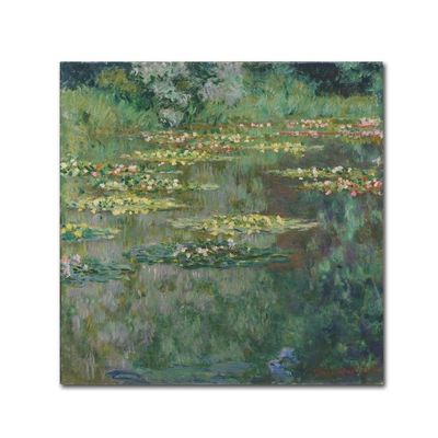 Trademark Fine Art Le Basin Des Nympheas Wall Dcor