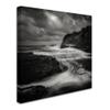 Trademark Fine Art Storm Wall Dcor view 2