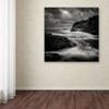 Trademark Fine Art Storm Wall Dcor view 3