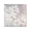 Trademark Fine Art Cherry Blossoms Square Wall Dcor view 1