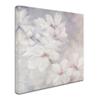 Trademark Fine Art Cherry Blossoms Square Wall Dcor view 2