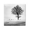 Trademark Fine Art Roes Wall Dcor view 1