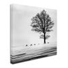 Trademark Fine Art Roes Wall Dcor view 2