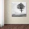 Trademark Fine Art Roes Wall Dcor view 3