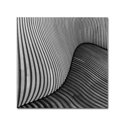 Trademark Fine Art Tangled Wood Wall Dcor