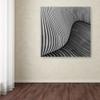 Trademark Fine Art Tangled Wood Wall Dcor view 3