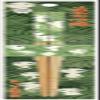Studio Ghibli Bamboo Chopsticks 21.0cm [Princess Mononoke] view 2