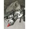 Lefranc Bourgeois, oil-based paint, Cadmium-Free Red Light, 40ml view 3