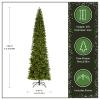 National Tree Company 12 ft Pre-Lit Downswept Douglas Fir Slim Artificial Christmas Tree, 850 LED Lights, 2,165 Tips, Foot Switch, 10 Light Functions, Includes Stand, Green view 4