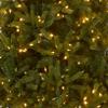 National Tree Company 6.5ft Pre-Lit Jersey Fraser Fir Medium Christmas Tree view 2