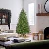 National Tree Company 6.5ft Pre-Lit Jersey Fraser Fir Medium Christmas Tree view 4