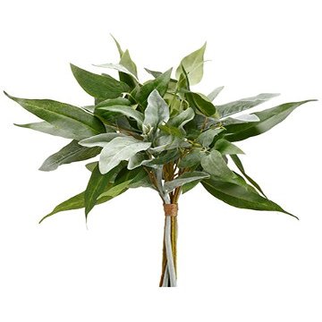 Arcadia Silk Plantation 18" Lamb's Ear/Eucalyptus Bouquet Green Gray (Pack of 6)