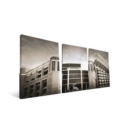 Paulson Designs Texas 16x36 Memorial Stadium Canvas