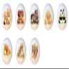 SET OF 8 KNOBS - The Baby Animals Collection - DECORATIVE Glossy CERAMIC Cupboard Cabinet PULLS Dresser Drawer KNOBS view 1