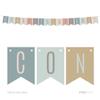 Andaz Press Signature Rustic Pastels Party Collection, Hanging Pennant Banner, Congratulations!, Approx. 6-Feet, 1-Set, Burlap Kraft Nature Theme Decorations view 1