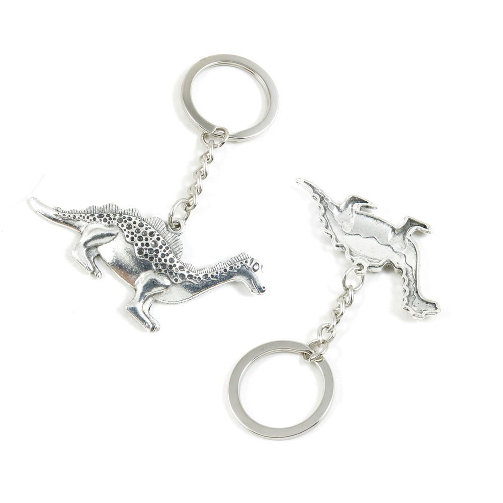 10 Pieces Keychain Keyring Door Car Key Chain Ring Tag Charms Supply S3BD5U Dinosaur