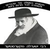 Judaica Place Reb Shayale Karestirer Laminated Card - Amulet for Protection Against Mice (Small) view 4