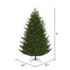 Vickerman 9' Eagle Fraser Full Artificial Christmas Tree, Warm White Dura-lit LED Lights - Lifelike Indoor Seasonal Home Decor - Maintenance Free Faux Fraser Fir Christmas Tree view 3