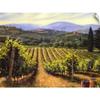 CANVAS ON DEMAND Tuscany Vines Wall Decal, Countryside Artwork view 1