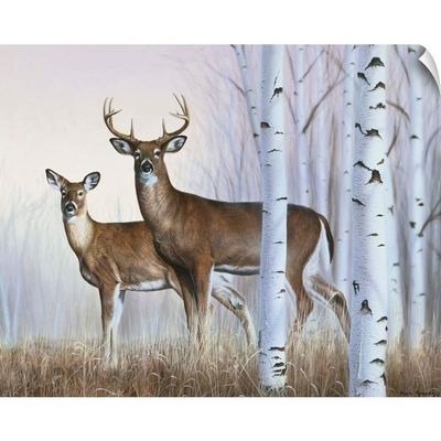 CANVAS ON DEMAND Deer in Birch Woods Wall Decal, Deer Artwork