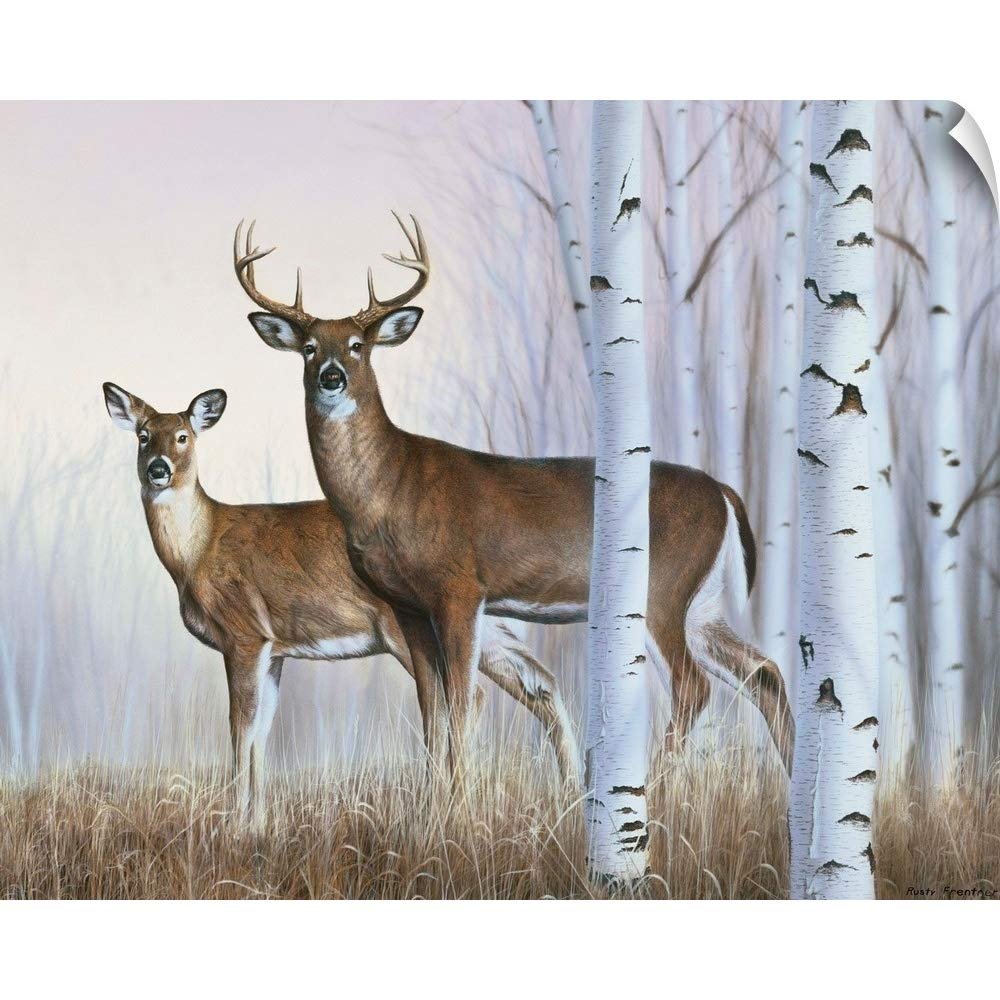 CANVAS ON DEMAND Deer in Birch Woods Wall Decal, Deer Artwork