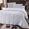8PC Norwich Grey Queen Size Bed in a Bag- Medium Weight Down Alternative Comforter (Duvet Insert) with Cotton Duvet Cover Set and Bed Sheets view 3