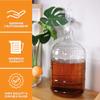 6 Gallon Glass Carboy view 4