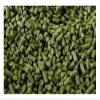 Home Brew Ohio Northern Brewer Pellet Hops - 1 oz. view 3