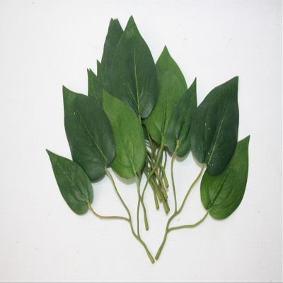 16cm Artificial Green Lily Leaves x 9 Sprigs