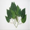 16cm Artificial Green Lily Leaves x 9 Sprigs view 1