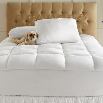 BrylaneHome Gel Touch Bed Tite Topper - Twin, White