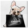 Oliver Gal 'Frenchie Glam' The Dogs and Puppies Wall Art Decor Collection Contemporary Premium Canvas Art Print view 1