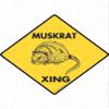 Warning! Muskrat Xing Sign - Caution Muskrat Crossing Sign (12" x 12") - Heavy Duty Exterior Rust Free .040 Thick Aluminum Wildlife Rodent Animal Sign with Weatherproof and UV Protection - Warning Beware of Muskrat Yard Sign - 12" x 12" view 1